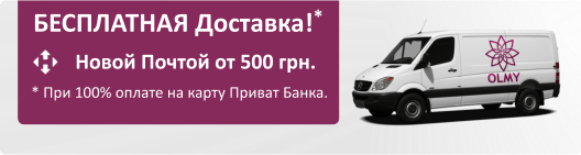 бесплатная доставка